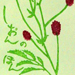 Kimiko Kuramoto Gallery